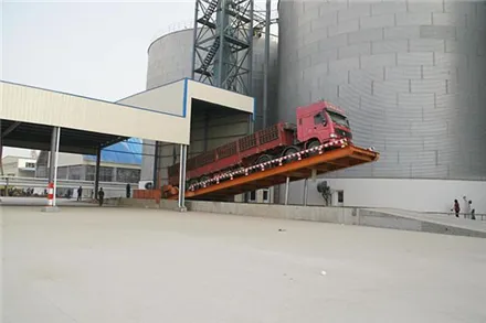 Hot Selling Canola Seed Oil Pressing Turnkey Project