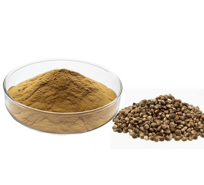 Wholesale High Quality Hemp Seed Protein Powder