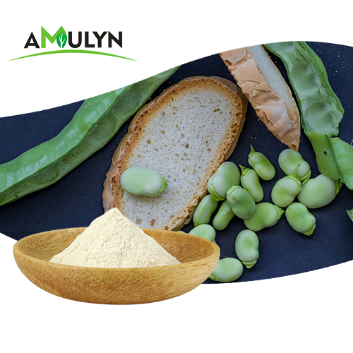 Plant Based Vegan Protein Fava Bean Protein Fava Bean Isolate Protein Powder