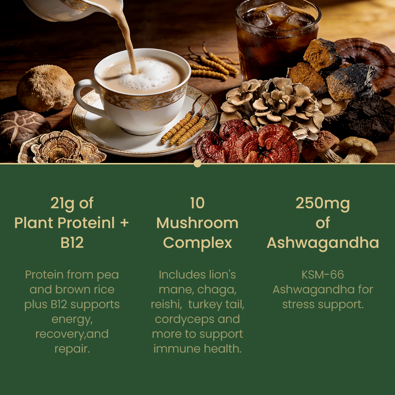 For Vegan Protein Powder Unflavored Pea Protein Mushrooms Seaweed Ashwagandha For Adult Mental Focus Immunity Support
