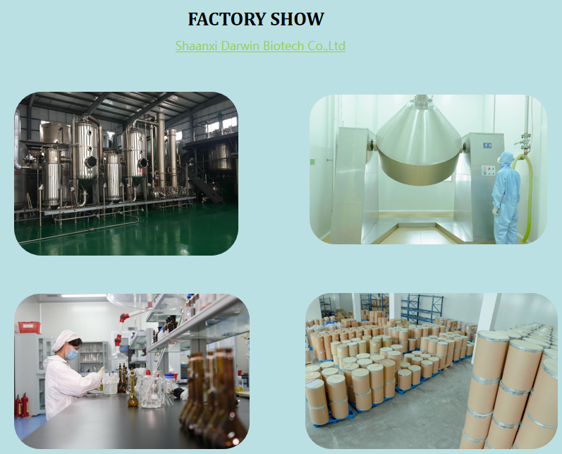 Factory Details 1