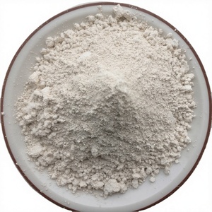 EU Certified Vegan Organic Rice Protein Powder