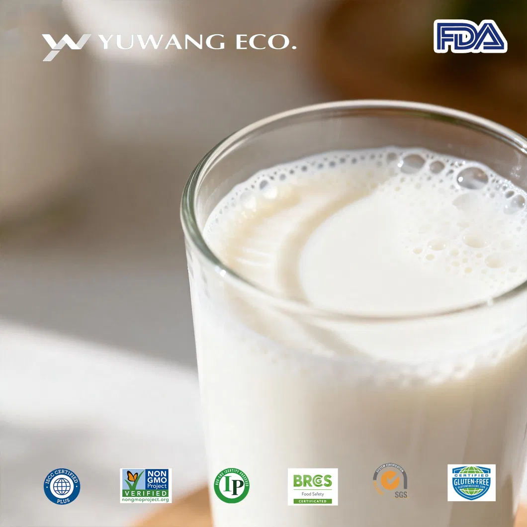 Non-GMO Soy Protein Isolate From a Strength Factory Raw Material for Sports Nutrition Foods, High Absorption Rate, Ideal Whey Protein Alternative, Customizable