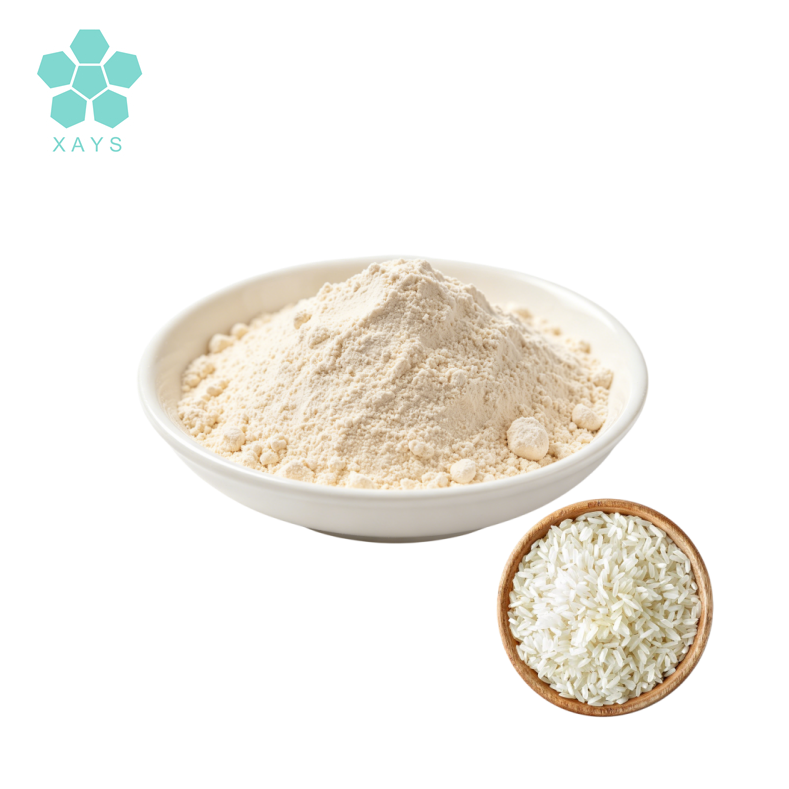 Wholesale High Quality 90% Rice Protein Hydrolyzed Rice Protein