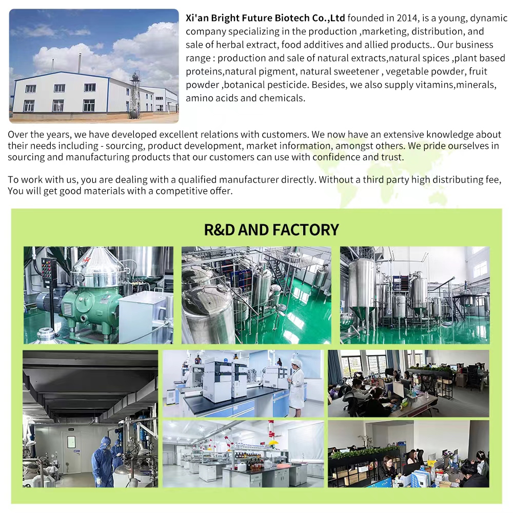 Factory Facility 1