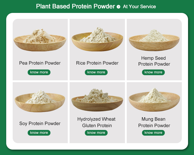 Protein Powder Varieties