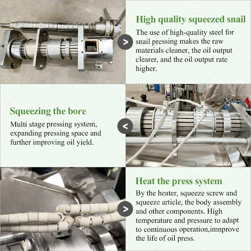 Sunflower Seed Cold Process Cashew Nut Soybean Extruder Make Avocado Cooking Extraction Mustard Expeller Canola Oil Machine