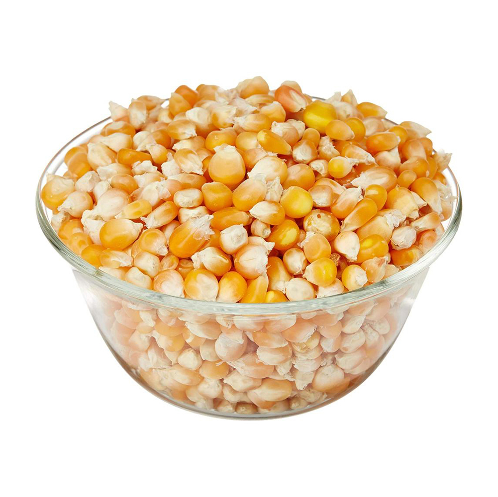 Bulk GMO Yellow Corn