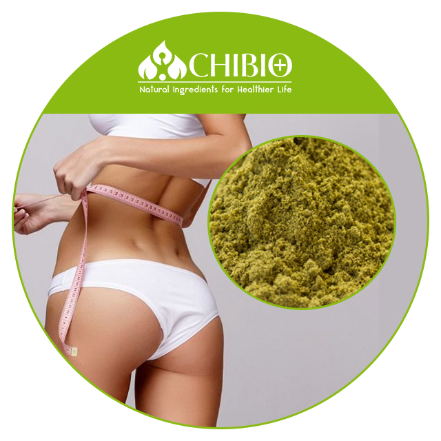 Hemp Protein Powder Wholesale