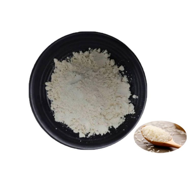 Best Selling Products Plant Extract Kosher Organic Bran Rice Protein Hydrolzed Brown 90% Rice Protein Isolate Meal Mix Powder