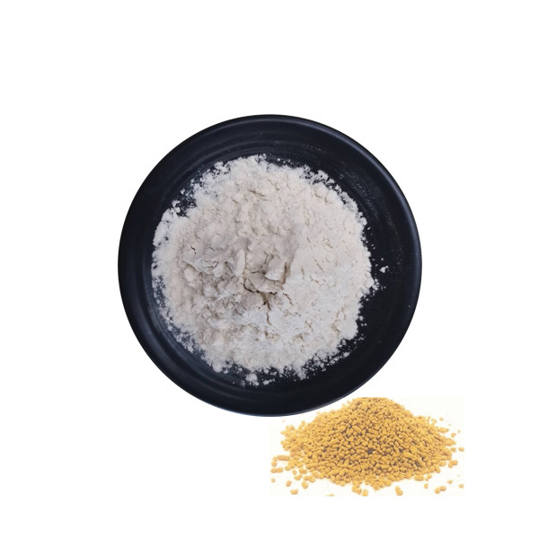Rice Protein Powder