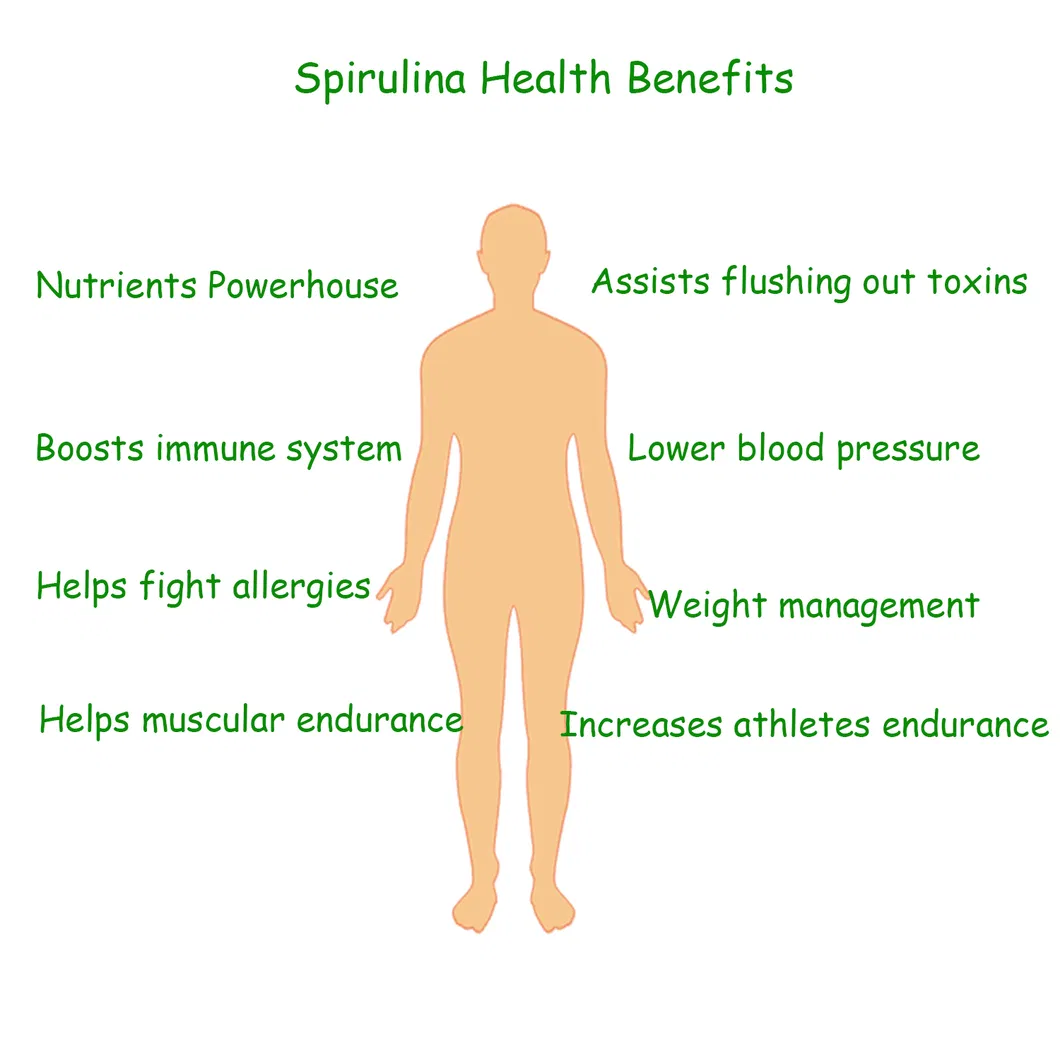 Foods Grade Algae Powder Spirulina Powder High Protein for Nutrition Supplement CAS 724424-92-4