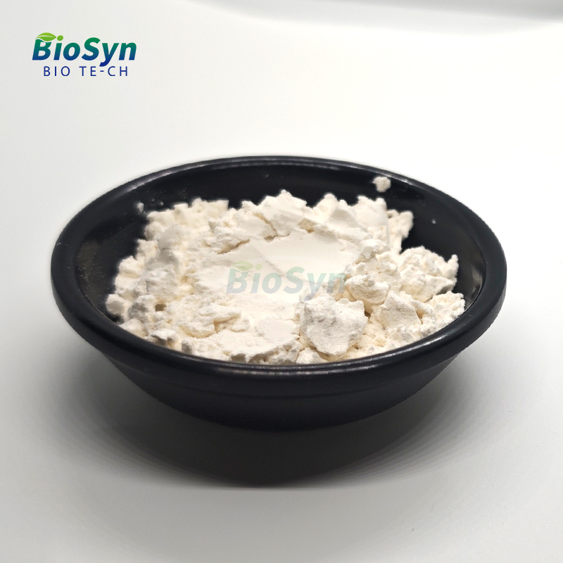 BioSyn Plant Extract Natural Potato Protein Extract 90% Potato Protein Isolate Powder