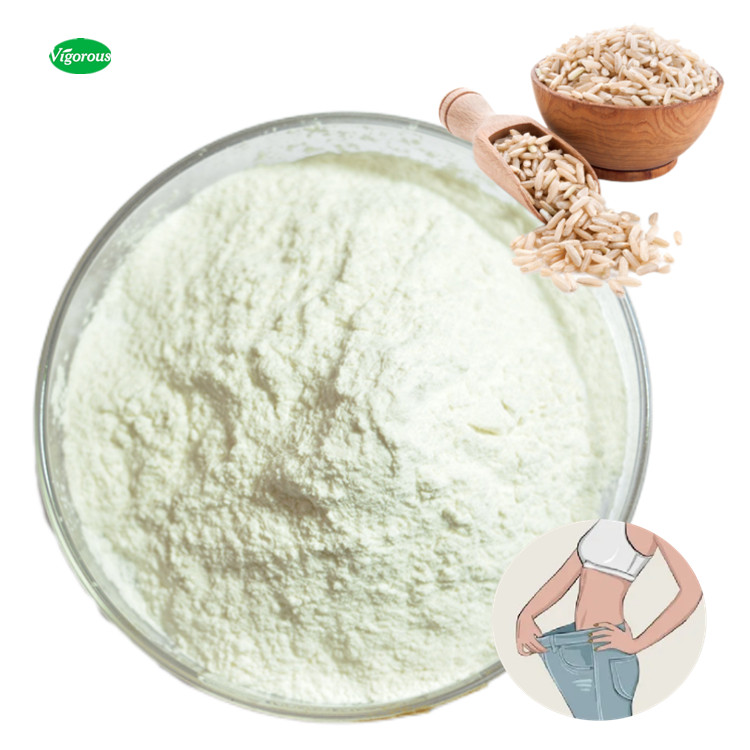 Pure Natural Brown Rice Extract Protein Powder Packaging