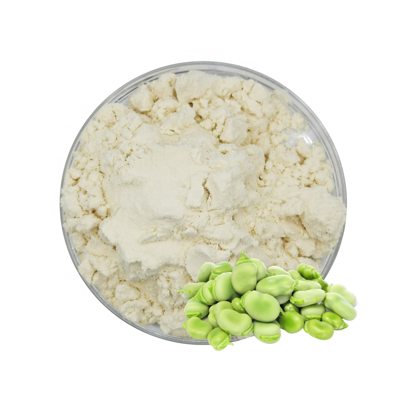 Premium Quality Organic Fava Bean Flour Protein Powder Hot Sale Nutrition Supplement for Adults