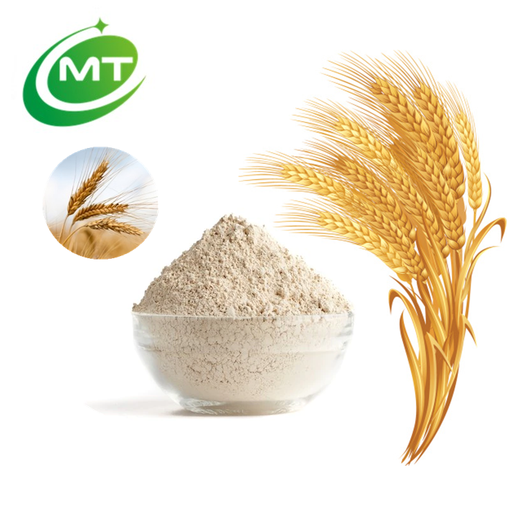 High Nutritional Wheat Protein Powder Natural Hydrolyzed Wheat Protein Powder