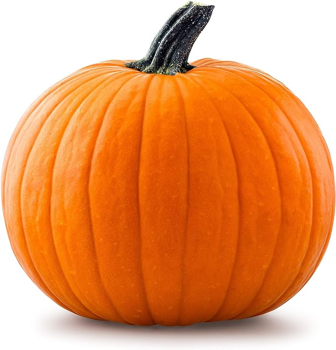 Pumpkin Seed Protein Powder for Nutrition Enhancing