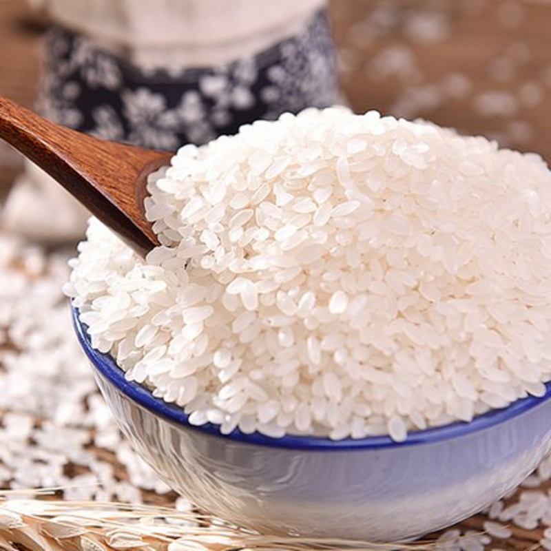 Best Price Premium Organic Rice Protein Powder High Quality Food Additives Food Grade