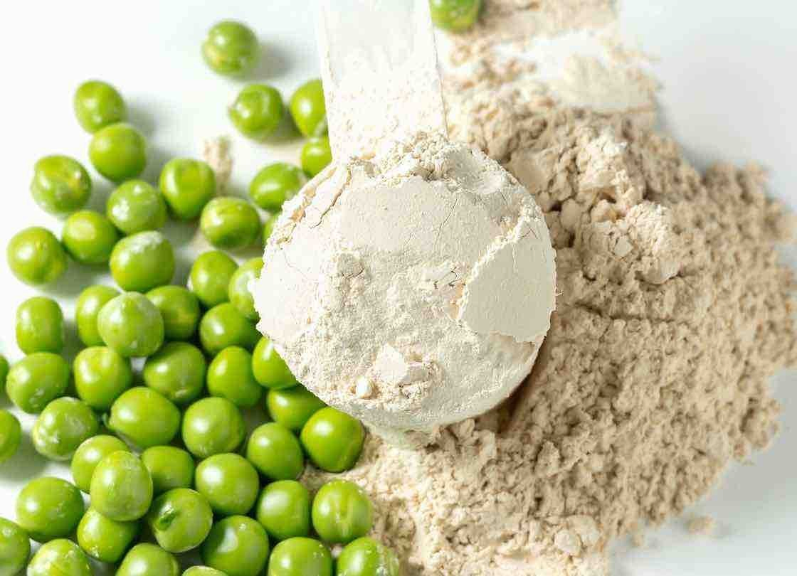 Food Grade/Protein Powder/Plant Extract/Pea Protein Isolate/Pea Protein