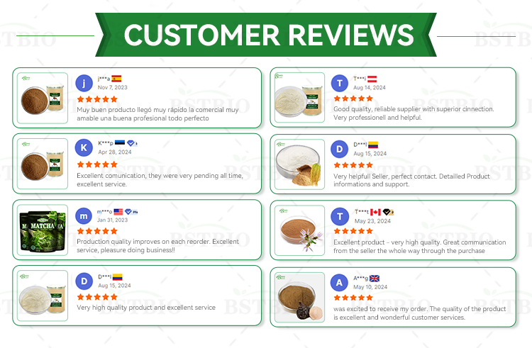 Customer Feedback Reviews