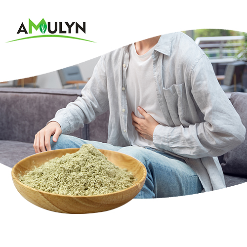 Amulyn Supply Nongmo Natural Organic Hemp Seed Protein Powders for Nutritional Supplement