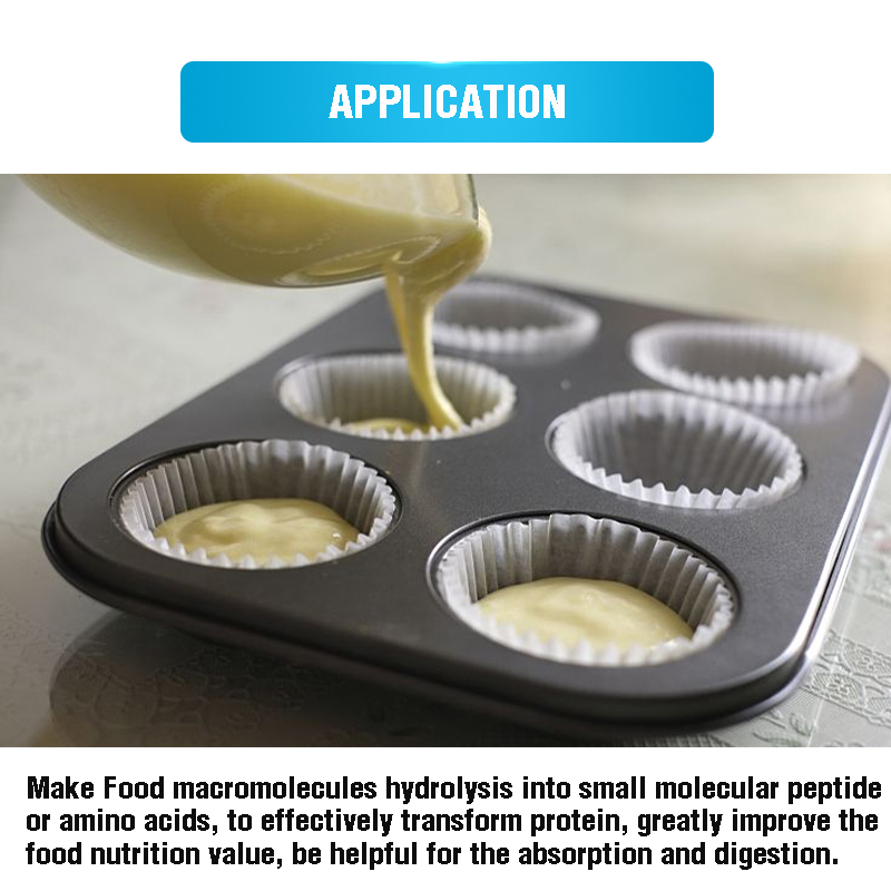 Papain Powder Papaya Extract For Meat Tenderizer, Fish Processing, Proteins Processing