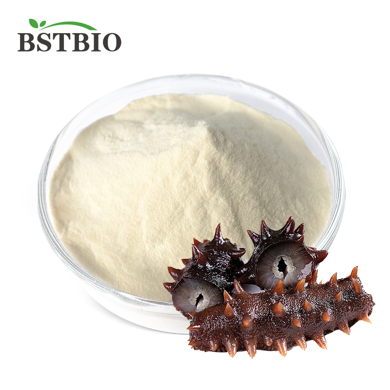 Sea Cucumber Peptide Powder