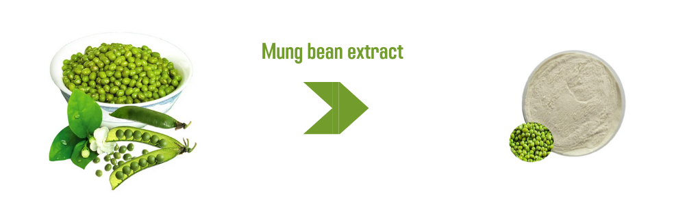 Mung Bean Extract Product Showcase