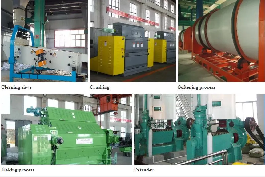 Canola Oil Pretreatment Machinery