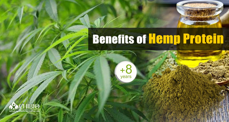 Hemp Protein Powder