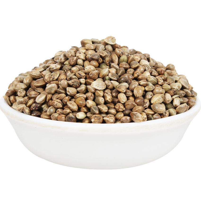 Wholesale High Quality Hemp Seed Extract Organic Hemp Protein
