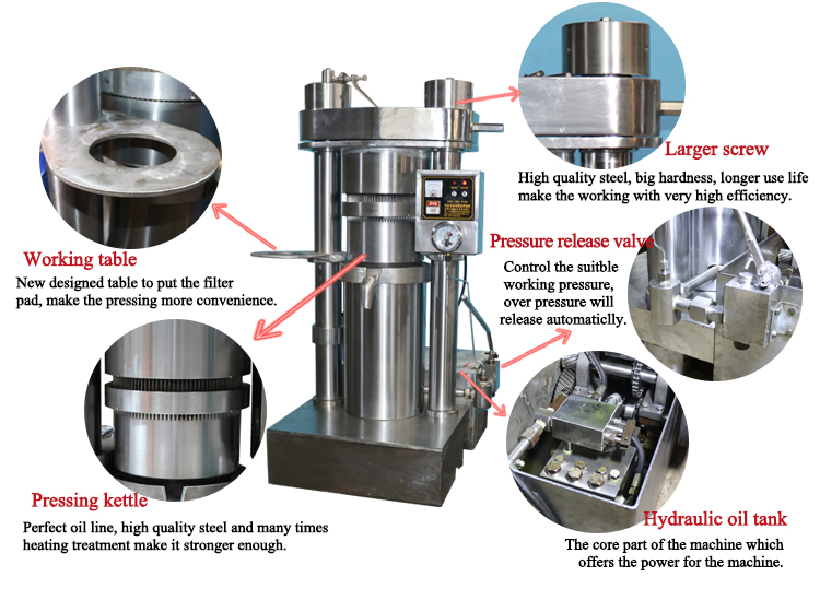 Automatic Cocoa Butter Oil Making Machine Chestnut Coconut Canola Oil Presser Flaxseed Walnut Oil Extraction Machine Oil Processing Machine