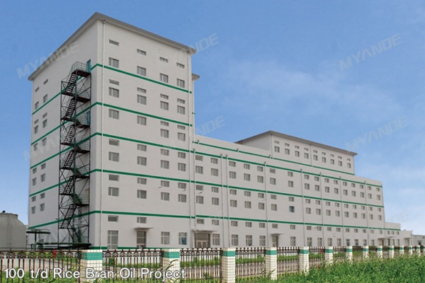 Cooking Oil Processing Machine, Oilseed Preparation Project, Peanut, Corn Germ, Canola, Sunflower Seed Oil Making Machine
