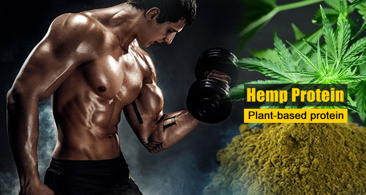 Hemp Protein Benefits