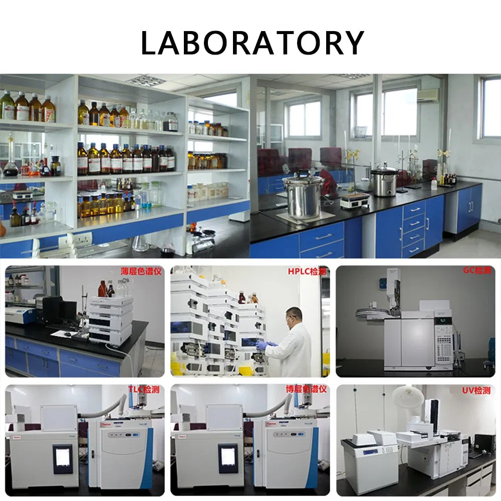 Supply Food/Cosmetic Grade Hydrolyzed Oat Protein Powder