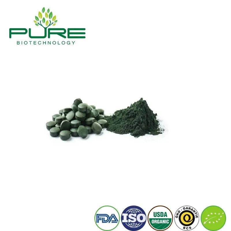 Organic Vegan Protein Powder with Spirulina for Enhanced Recovery