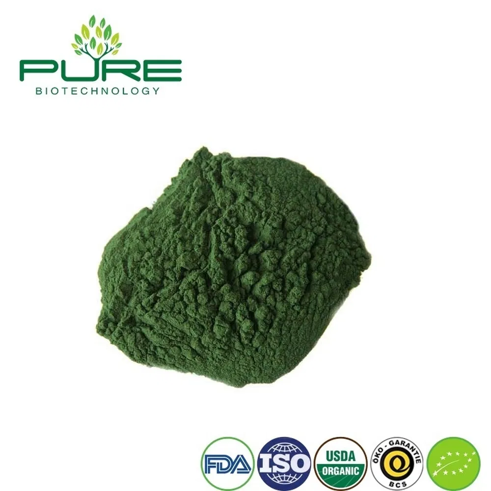 Premium Organic Spirulina Protein Powder for Smoothie Boost