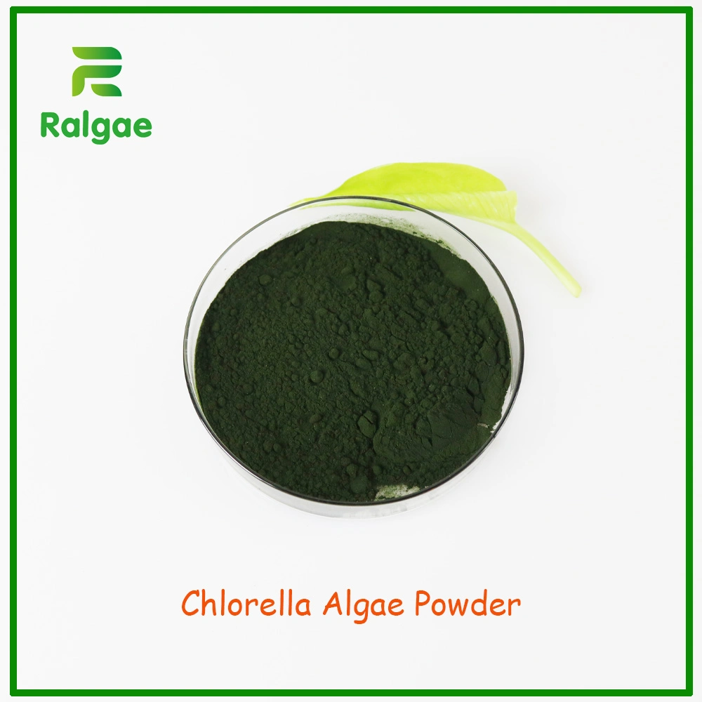 Foods Grade Chlorella Algae Powder High Protein for Nutrition Supplement