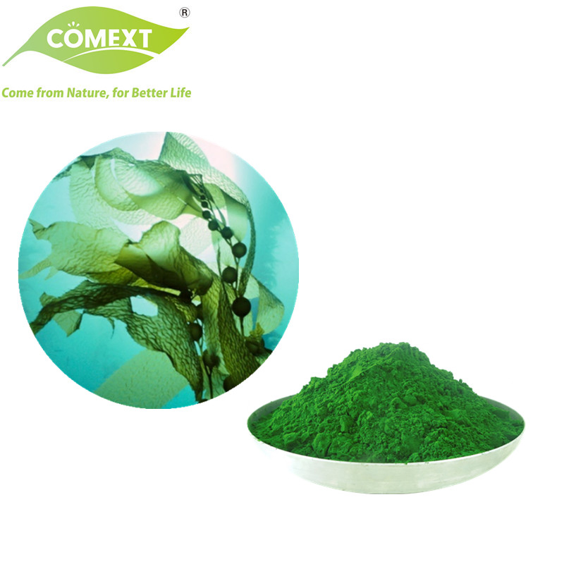 Comext Spirulina 10: 1 Polysaccharides (PSP) 10-70% β -Carotene Food Additive Skin Conditioning Agent Vitamin Protein Chlorella Spirulina Extract