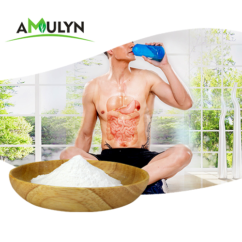 100% Water Soluble Pea Protein Peptide Powder