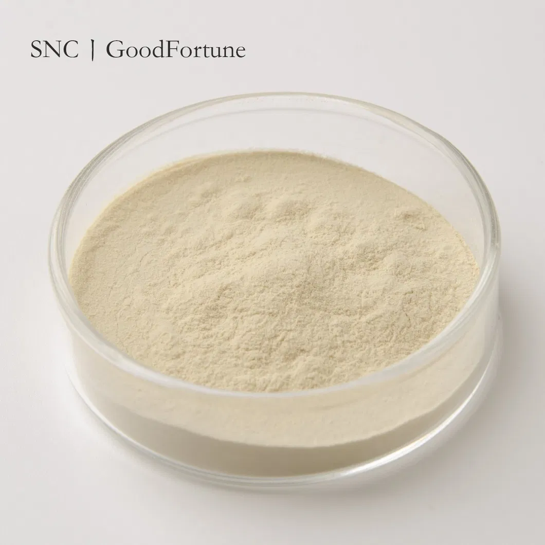 Natural Food Additive Oat Protein detailed photo