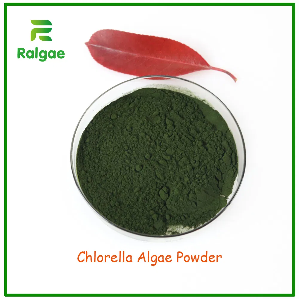 Foods Grade Chlorella Algae Powder High Protein for Nutrition Supplement
