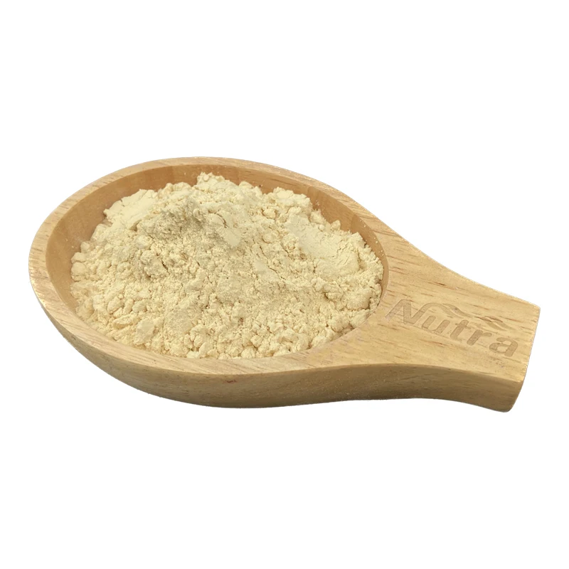 Best Quality Factory Supply Bulk Chickpea Protein Hot Sale Organic Chickpea Protein for Drinking