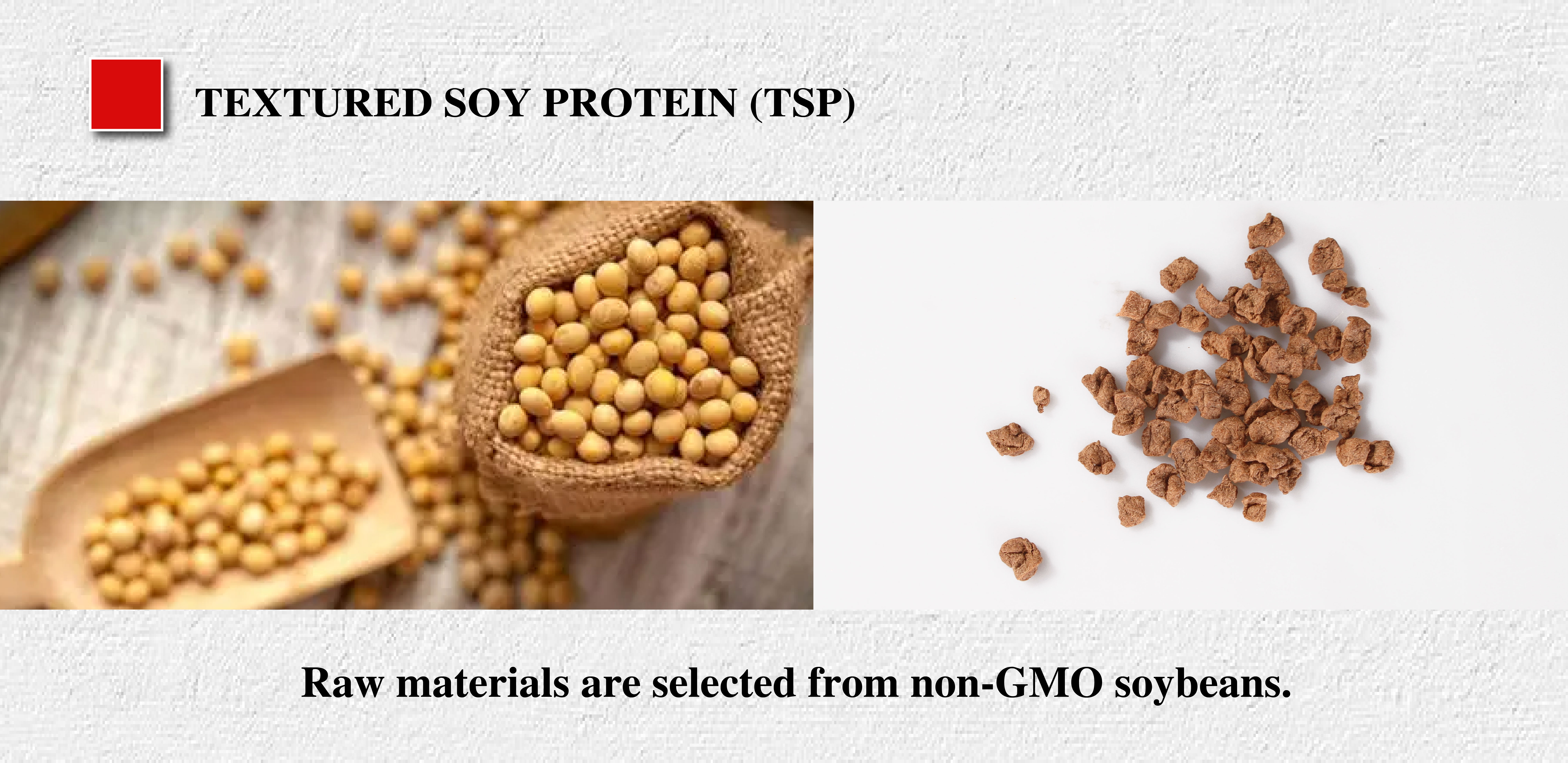 Textured soy protein product view 1