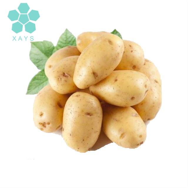 Natural Dried Potato Protein Potato Protein Isolate Potato Protein Powder