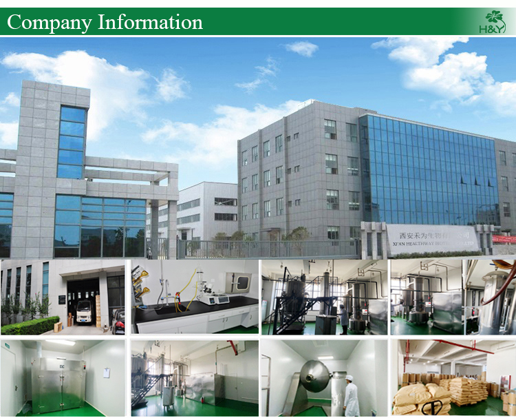 Production Facility