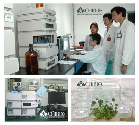 Production Process Equipment