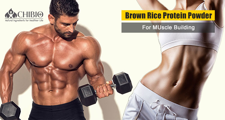 Organic Protein Powder
