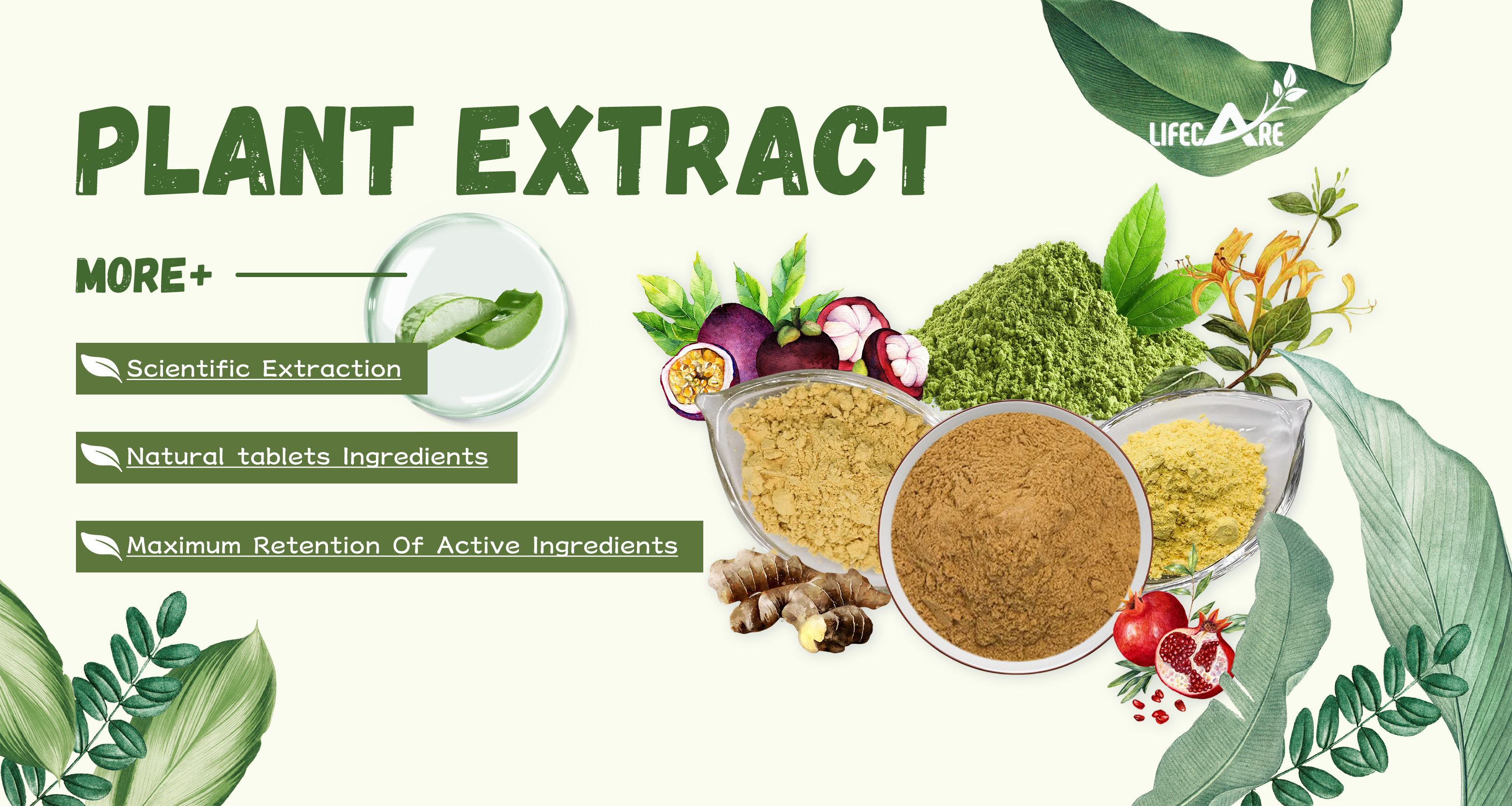 Potato Protein Banner