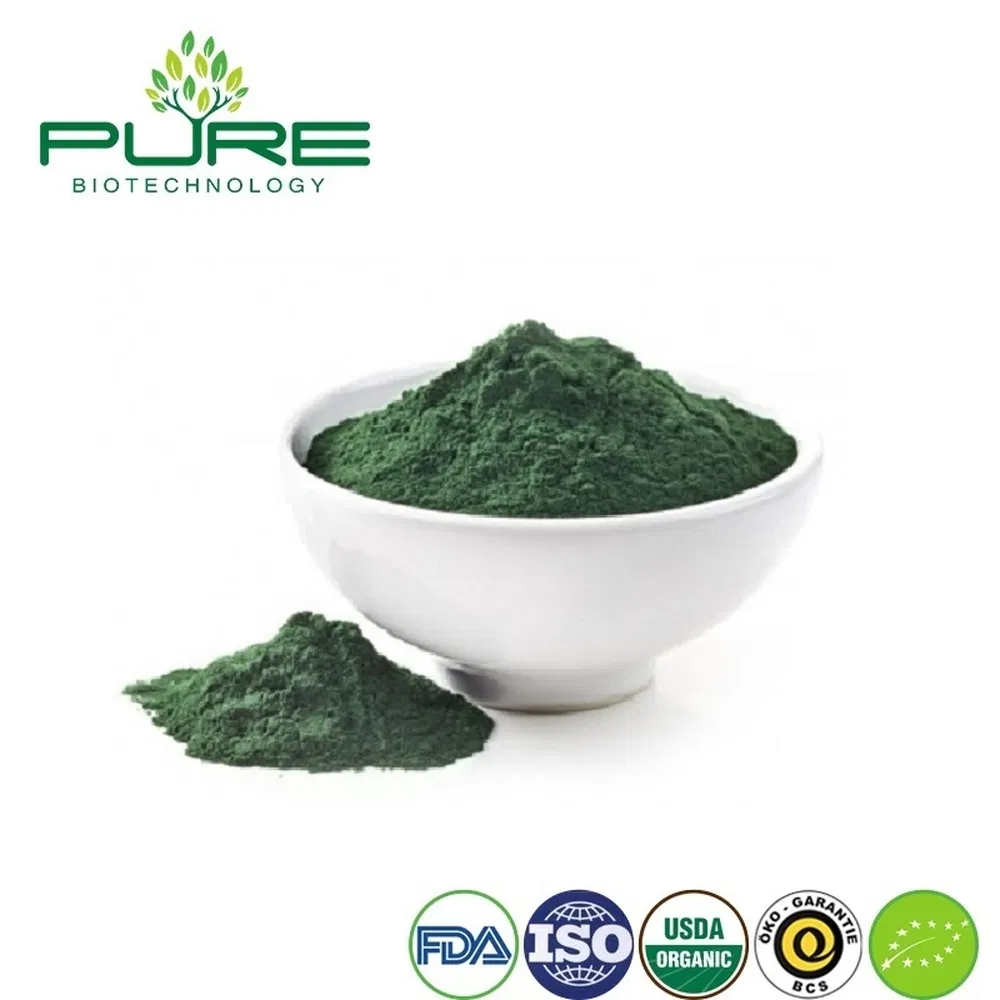 Organic Spirulina Protein Powder for Boosting Stamina and Energy